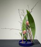 20 - Claire McCaughey.jpg 3.8K